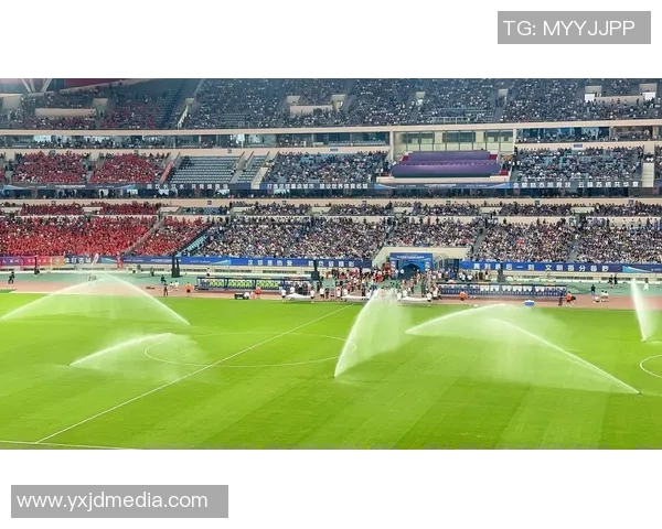 魔王降临绿茵场足球巨星崛起之路从天才到传奇的转变